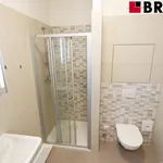 Rent 1 bedroom apartment of 28 m² in Brno