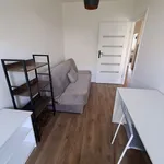 Rent 1 bedroom apartment of 50 m² in Rzeszów