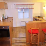 Rent 1 bedroom apartment in Prague