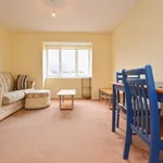 Rent 1 bedroom apartment in London