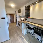 Rent 3 bedroom apartment in Praha 4