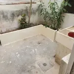 Casa en Renta en Paraíso Ojo de Agua, Tuxtla Gutiérrez, Chiapas