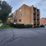 apartment for rent in Fairfax