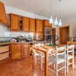 Rent 1 bedroom house in Peniche