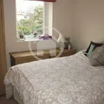 Rent 1 bedroom flat in York