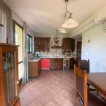 Rent 2 bedroom apartment of 55 m² in Nichelino