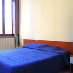 Rent 2 bedroom apartment of 55 m² in Bergamo