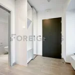 Rent 1 bedroom apartment of 45 m² in Brno