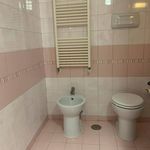 1-bedroom flat excellent condition, mezzanine, Somma Vesuviana