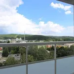 Rent 4 bedroom apartment of 70 m² in Brno