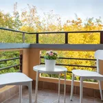 Rent 1 bedroom apartment in Bologna