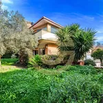 Rent 6 bedroom apartment of 312 m² in Cerveteri