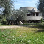 Rent 8 bedroom house of 250 m² in Orbetello