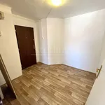 Rent 2 bedroom apartment of 45 m² in Kladno