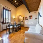 Rent 1 bedroom apartment of 55 m² in Florence