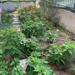 3-room flat via Alceste De Ambris, Viareggio