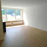 Rent 2 bedroom apartment in Wommelgem