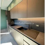 Rent 2 bedroom apartment of 60 m² in Turin