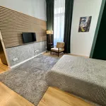 Rent 1 bedroom apartment of 33 m² in Łódź