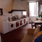 Rent 1 bedroom apartment of 45 m² in Florence