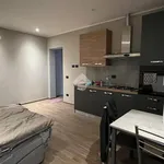 Rent 1 bedroom apartment of 40 m² in Novara