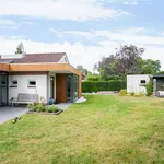 Rent 3 bedroom house of 150 m² in Nijmegen