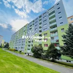 Rent 1 bedroom apartment in Děčín