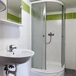 Rent 1 bedroom apartment in Brno