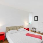 Miete 1 Schlafzimmer wohnung von 80 m² in Dresden