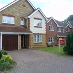 Detached house to rent in Dyer Road, Wokingham RG40