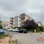 Rent 2 bedroom apartment in Plzeň