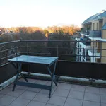 Rent 3 bedroom apartment of 58 m² in Toulouse