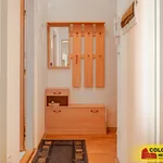 Rent 1 bedroom apartment of 38 m² in Brno