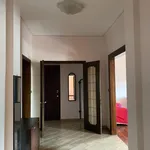 Rent 3 bedroom apartment of 160 m² in torino