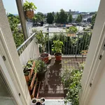 Rent 2 bedroom apartment of 70 m² in Dresden