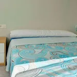 Rent a room in Zaragoza