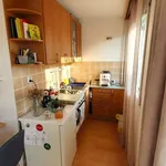 Rent 1 bedroom apartment in Pardubice