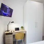 Rent 1 bedroom apartment in madrid