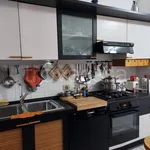 Rent 5 bedroom apartment of 113 m² in Padova