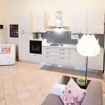 Rent 3 bedroom apartment of 60 m² in Padua