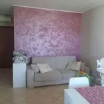 Appartamento arredato con terrazzo Porto allegro