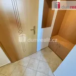 Rent 1 bedroom apartment of 30 m² in Praha