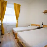 Rent 1 bedroom apartment in Brno