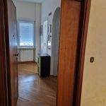 Affitto 1 camera appartamento di 38 m² in Rome