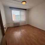 Rent 3 bedroom apartment in Plzeň