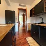 Rent 2 bedroom apartment of 75 m² in Milan