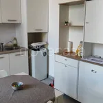 Rent 2 bedroom apartment of 54 m² in Bologna