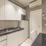 Rent 1 bedroom apartment in Bologna