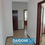 Rent 3 bedroom apartment of 70 m² in Livorno