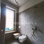 Rent 2 bedroom apartment of 55 m² in Cremona